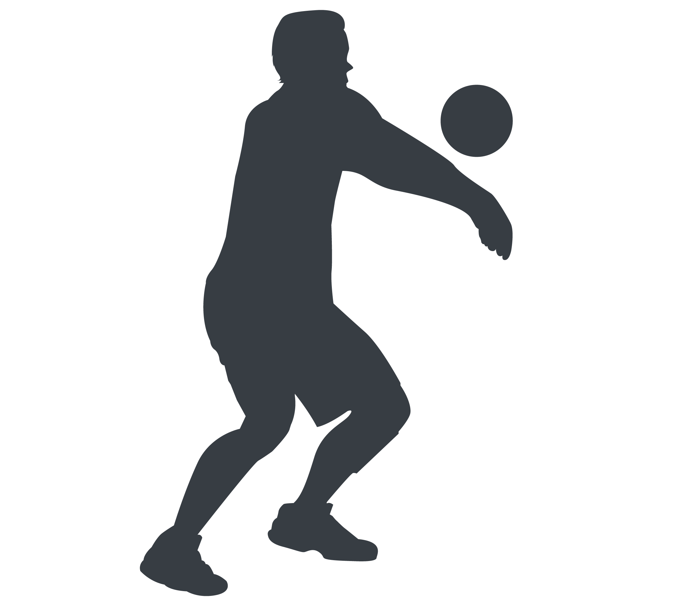 Volleyball en folie
